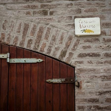 Accademia Al Colle Leilighet Bologna Eksteriør bilde